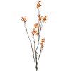 Clayre & Eef 5PL0184 Siertak oranjebruin 110 cm kunststof