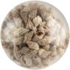 Clayre & Eef deurknop glas schelp decor beige Ø5x4 cm landhuis nautisch