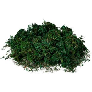 Clayre & Eef 66109 Mosmat Groen 40x30x1 cm...