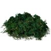 Clayre & Eef 66109 Mosmat Groen 40x30x1 cm Kerstdecoratie Knutselen