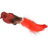 Clayre & Eef 66138 Decoratie Vogel Set van 2 Roodbruin 16x5x5 cm Plastic