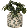 Clayre & Eef Bloempot Beige-Groen Ø16x15cm Keramiek Landelijke Stijl Vintage