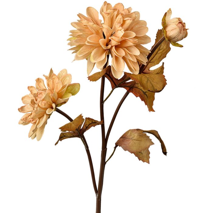 Clayre & Eef 6PL0387BE Kunstbloem Beige Bruin 10x10x66 cm