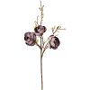 Clayre & Eef 5PL0169BL Decoratieve Tak Paars Bruin 106 cm Kunststof