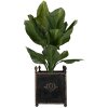 Clayre & Eef 5Y1293 Bloempot Set van 2 Barok Stijl Zwart Ijzer Interieur