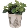 Clayre & Eef 6CETKG0001M Decoratie Bloempot Beige Groen Ø 18x16 cm