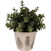 Clayre & Eef 6CENPT0001S Decoratieve bloempot Ø 12x11 cm