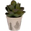 Clayre & Eef 6CENPT0001XS Decoratieve bloempot Ø 8x7 cm