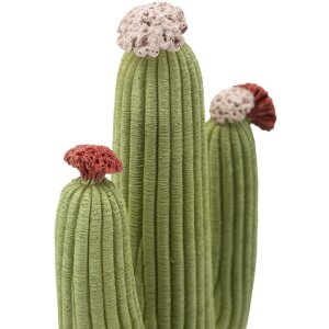 Mauro Ferretti Decoratiefiguur Cactus Stons 16,5x11x45 cm groen