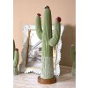 Mauro Ferretti Decoratiefiguur Cactus Stons 16,5x11x45 cm groen