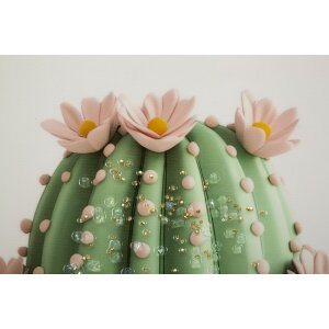 Mauro Ferretti Canvasdoek met Fotolijst Kaktusvaas 40x2,8x40 cm