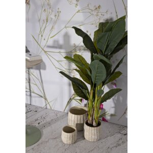 Mauro Ferretti Plantenpot-Set Flocke 3-delig 30,5x27/25x22,2/19,5x18 cm creme