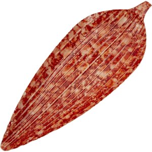 Mauro Ferretti Decoratieschaal Tropfen Rood 50x18x4 cm