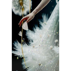 Mauro Ferretti Wandschilderij Dans met lijst 72x4x102 cm
