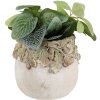 Clayre & Eef Bloempot Eikenblad Reliëf Ø15x13 cm Beige Groen Steen