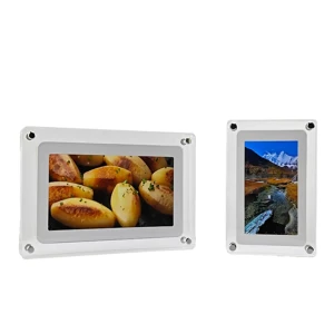 Frameo Digitale Fotolijst HF-A101 Acryl 10,1 inch