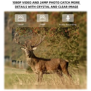 Stealth Gear Egel 1080p 4G Wildcamera