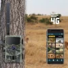 Stealth Gear Egel 1080p 4G Wildcamera