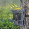 Stealth Gear Fox Solar 4K Wifi Wildcamera