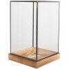 Clayre & Eef 6GL5364 Decoratie Mini Broeikas 19x19x30 cm