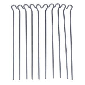 BUTEO PHOTO GEAR Stalen Haringen 30 cm - 10-pack