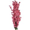 Clayre & Eef 5PL0168P Decoratieve Tak met Bloemen 15x10x100 cm Roze