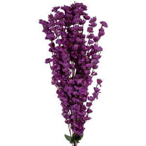 Clayre & Eef 5PL0168PA Decoratieve Tak met Bloemen...