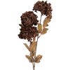 Clayre & Eef 5PL0193CH Decoratieve tak met bloemen 10x8x76 cm
