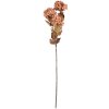 Clayre & Eef 5PL0193LP Decoratieve Tak met Bloemen 10x8x76 cm Roze