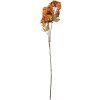 Clayre & Eef Decoratieve Tak met Bloemen 10x8x76 cm