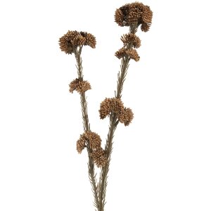 Clayre & Eef 6PL0399CH Decoratieve Tak met Bloemen 6x6x58 cm