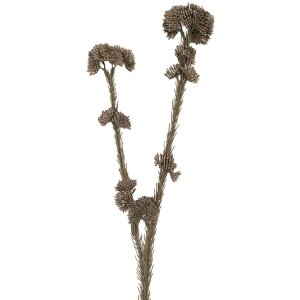 Clayre & Eef 6PL0399G Decoratieve Tak met Bloemen Grijs Groen 6x6x58 cm