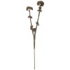 Clayre & Eef 6PL0399G Decoratieve Tak met Bloemen Grijs Groen 6x6x58 cm