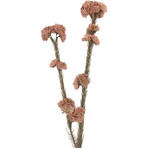 Clayre & Eef 6PL0399P Decoratieve Tak met Bloemen...
