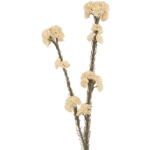 Clayre & Eef 6PL0399W Decoratieve Tak met Bloemen...