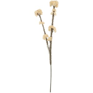 Clayre & Eef 6PL0399W Decoratieve Tak met Bloemen 6x6x58 cm