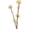 Clayre & Eef 6PL0399W Decoratieve Tak met Bloemen 6x6x58 cm