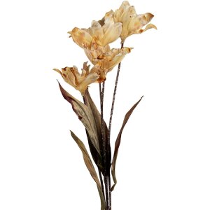 Clayre & Eef 6PL0403BE Decoratieve Tak met Bloemen 8x5x60 cm