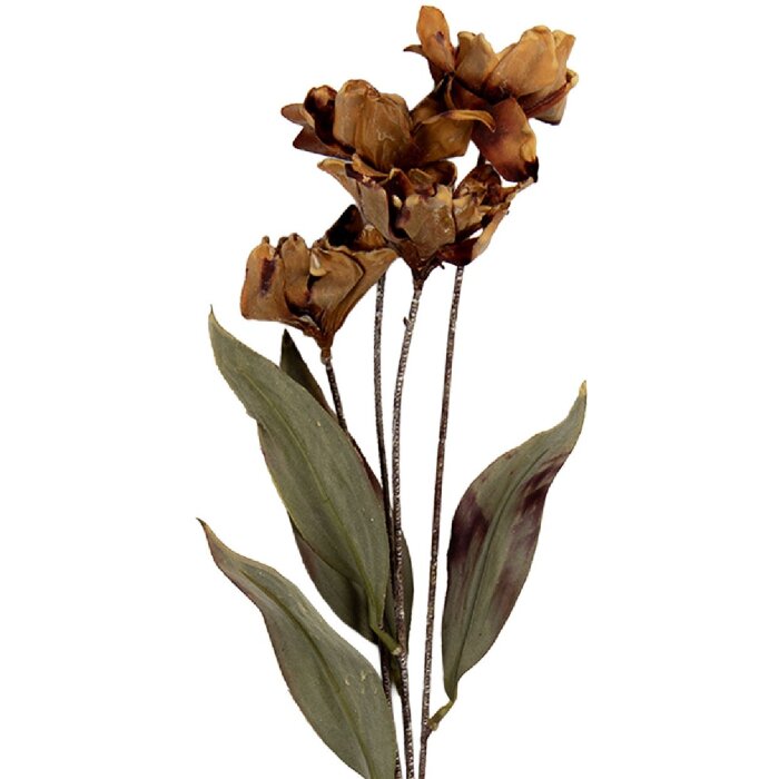 Clayre & Eef 6PL0403BR Decoratieve Tak met Bloemen 8x5x60 cm