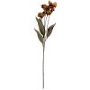 Clayre & Eef 6PL0403BR Decoratieve Tak met Bloemen 8x5x60 cm