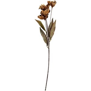 Clayre & Eef 6PL0403CR Decoratieve Tak met Bloemen 8x5x60 cm