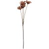 Clayre & Eef 6PL0403DCH Decoratieve Tak met Bloemen 8x5x60 cm