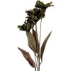 Clayre & Eef 6PL0403GR Decoratieve Tak met Bloemen 8x5x60 cm Groen