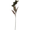 Clayre & Eef 6PL0403GR Decoratieve Tak met Bloemen 8x5x60 cm Groen