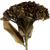 Clayre & Eef 6PL0404GR Decoratietak met Bloemen Groen 15x15x47 cm