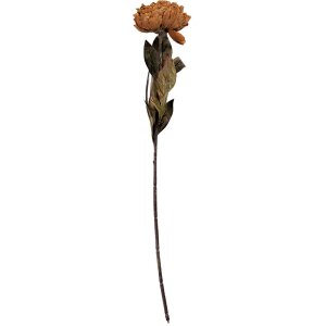 Clayre & Eef 6PL0405BR Kunstbloem 10x10x65 cm Bruin & Groen
