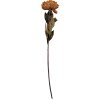 Clayre & Eef 6PL0405BR Kunstbloem 10x10x65 cm Bruin & Groen