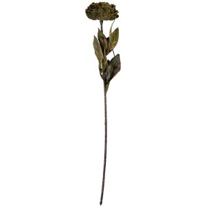 Clayre & Eef 6PL0405CH Kunstmatige Bloem 10x10x65 cm