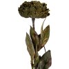 Clayre & Eef 6PL0405CH Kunstmatige Bloem 10x10x65 cm