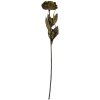 Clayre & Eef 6PL0405CH Kunstmatige Bloem 10x10x65 cm